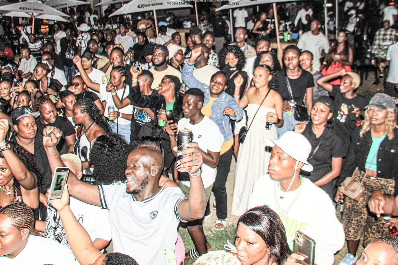 Large festival crowd with professional PN Audio PA setup